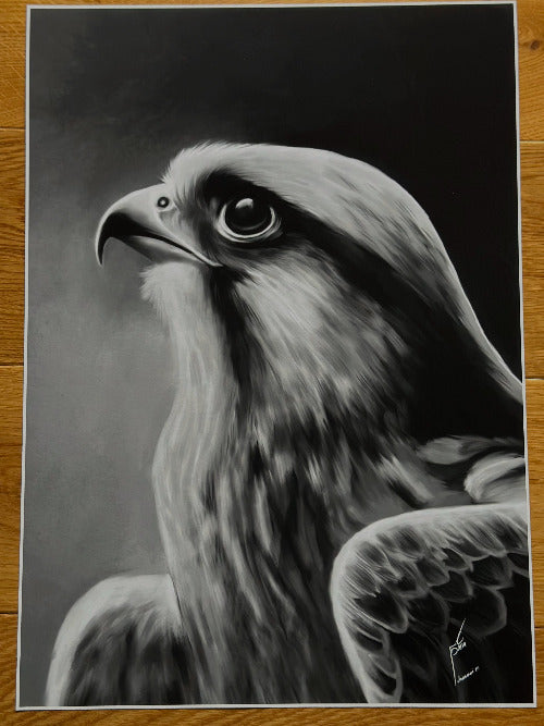 Falcon Sight| نظرة الشاهين