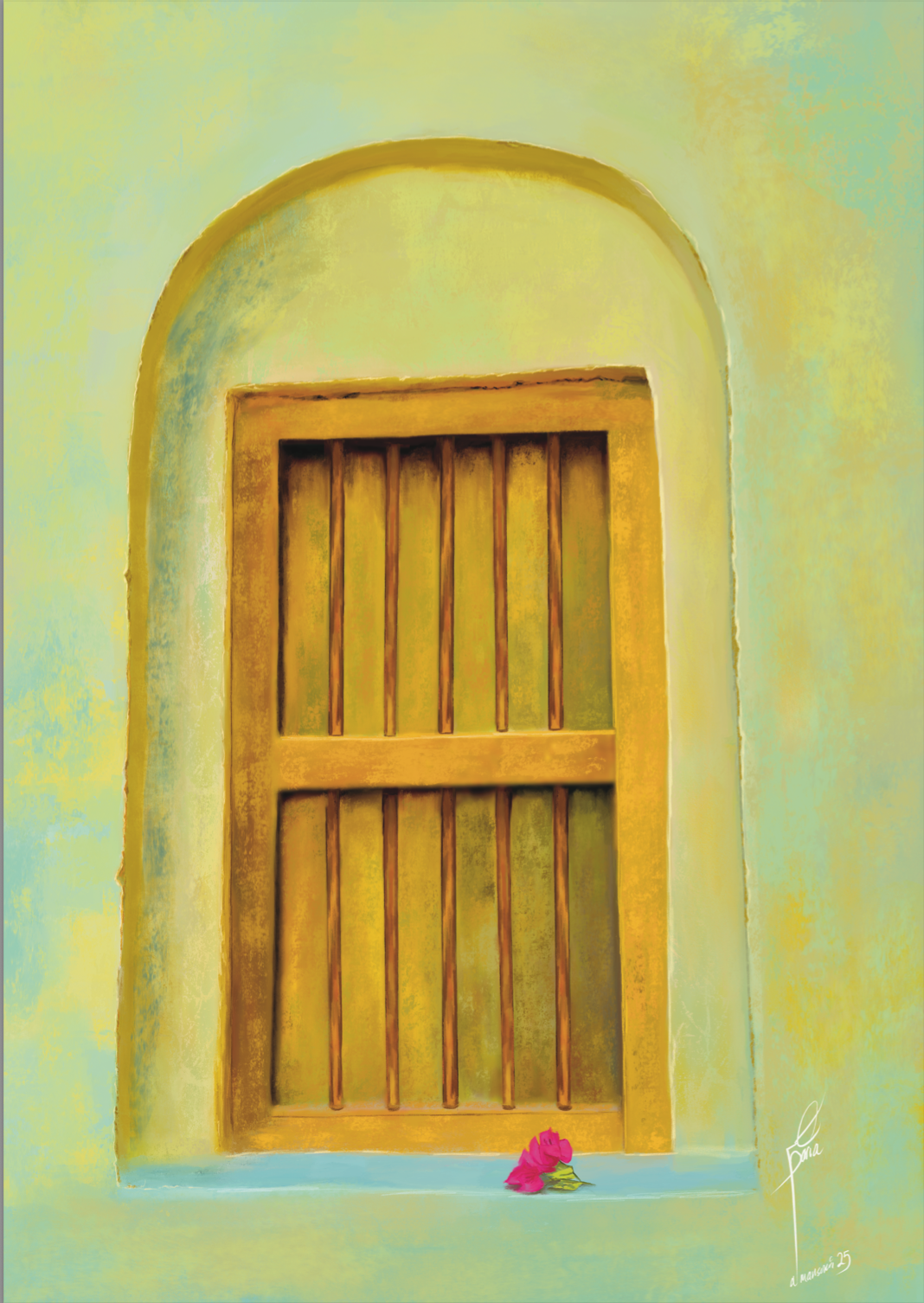 Window |الدريشه