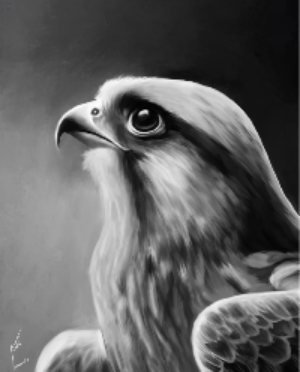 Detailed black and white drawing of a falcon on a dark background